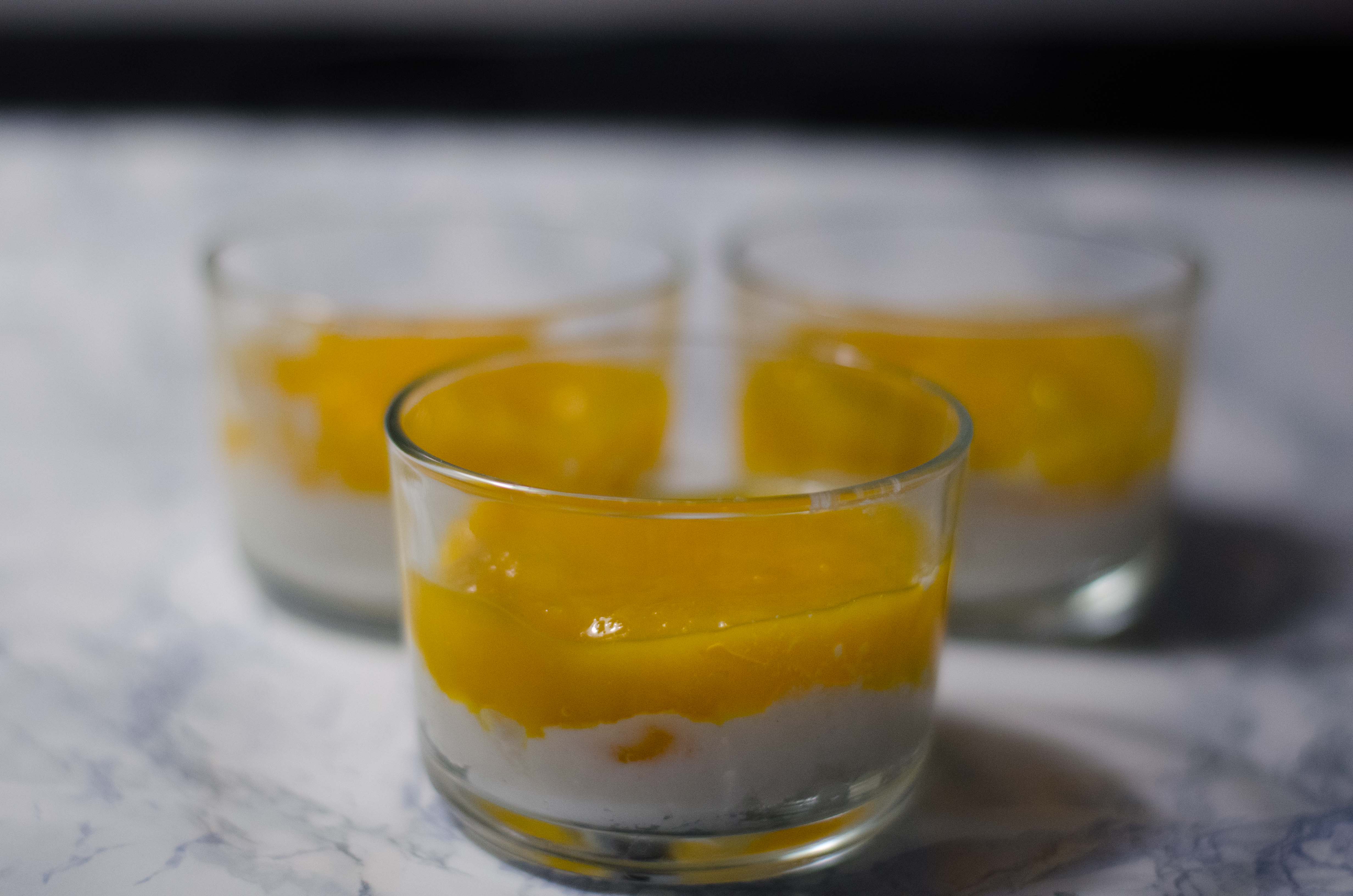 Kokos-Joghurt-Creme mit Mango - Marsmaedchen